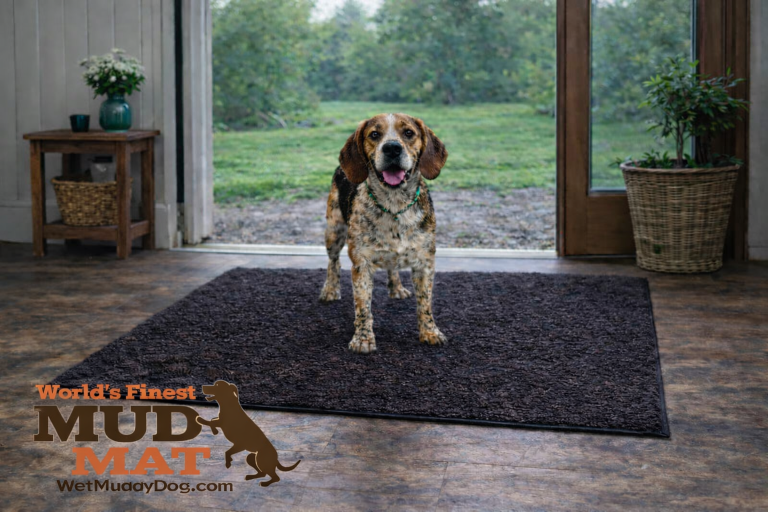 Wet Muddy Dog Hero 3 223